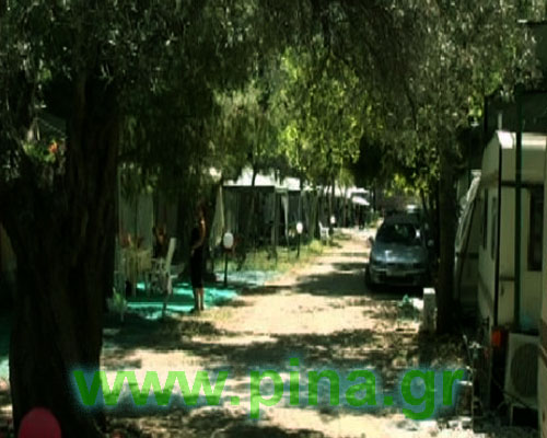 Milos camping ������� ������