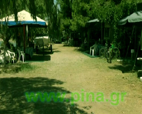 Camping Evia - Tent