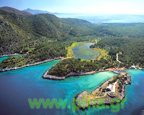 ������ ��� ��������