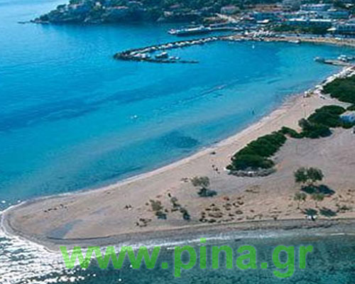 ������ ��� ��������