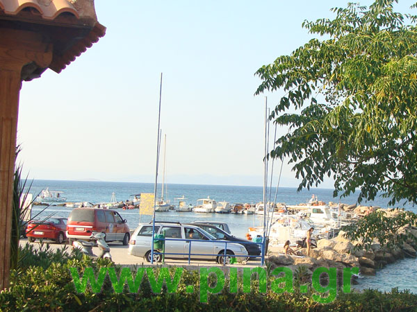 ������ ��� ��������