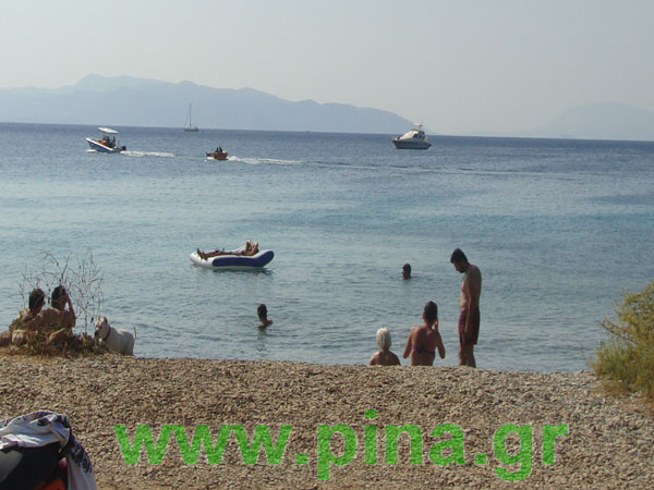 ������ ��� ��������