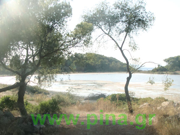 ������ ��� ��������