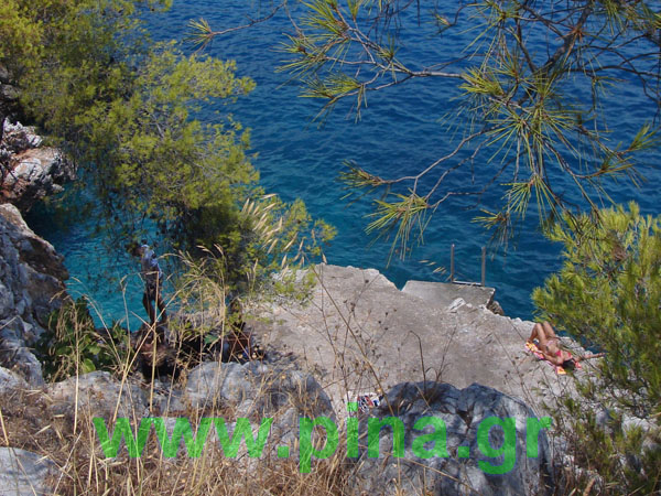 ������ ��� ��������