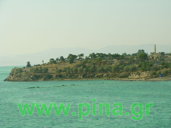 ������ ���� ��������