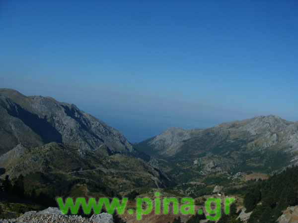 ������ ���� ������