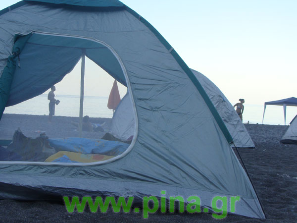 ������ ���� ������