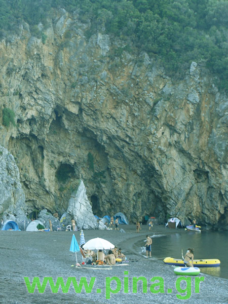 ������ ���� ������