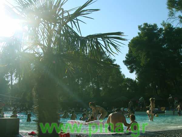 ������ ���� ������