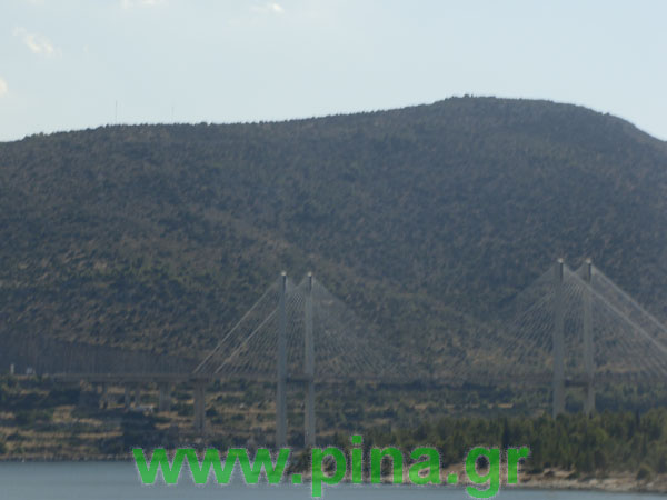 ������ ���� ������