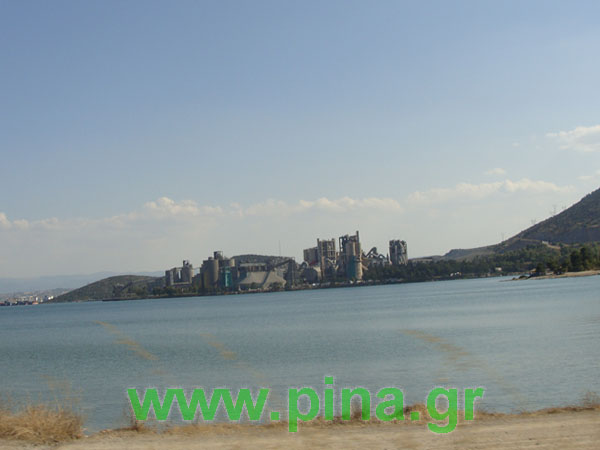 ������  ��� �������