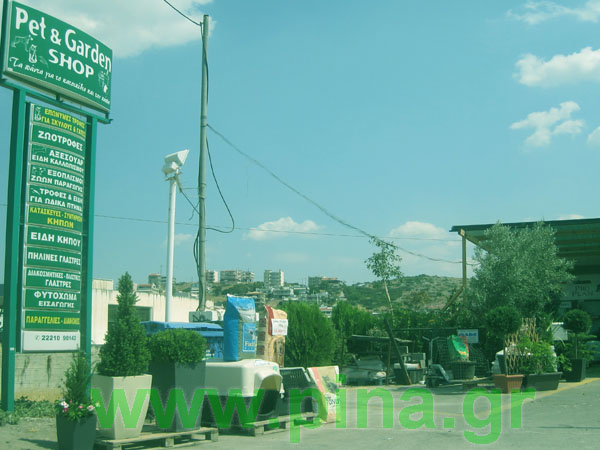 ������  ��� �������