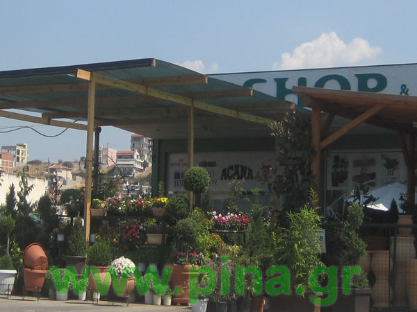 ������  ��� �������