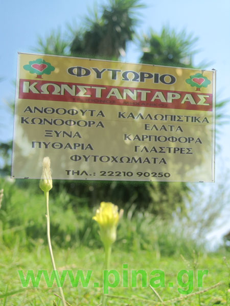 ������  ��� �������