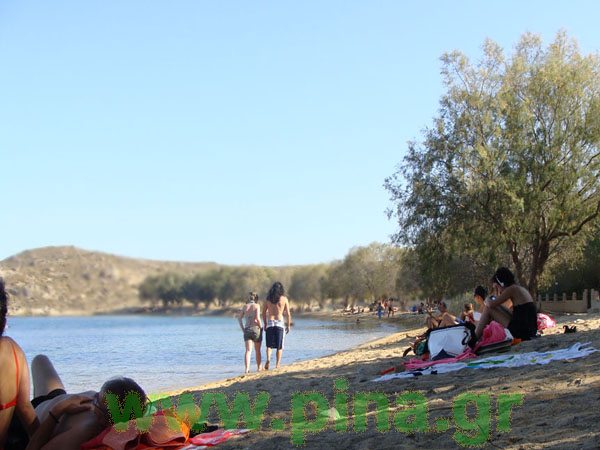 ������ ��� ������