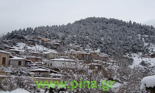 ������ ��� ���������