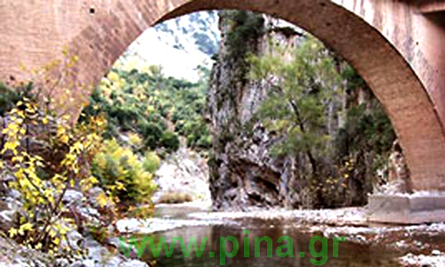 ������ ��� ���������