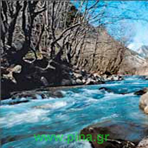 ������ ��� ���������