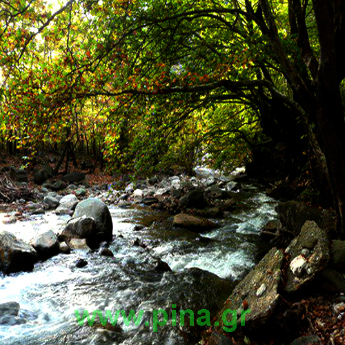 ������ ��� ���������