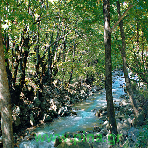 ��������� ��� ���� ��� ��������� 4