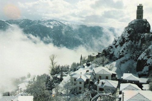 ������ ���� �������