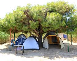 �� �������� camping ���� ������ 8