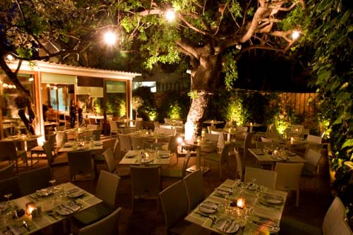 VERDE PAPAGALO ���������