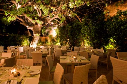 VERDE PAPAGALO ��������� 1