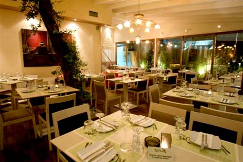 VERDE PAPAGALO ��������� 2