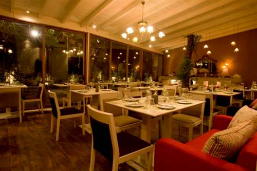 VERDE PAPAGALO ��������� 3