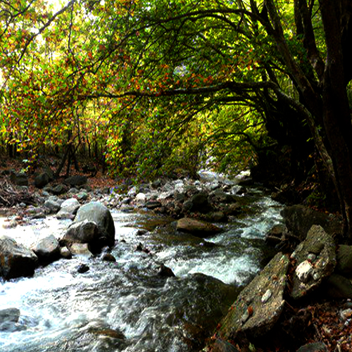 ��������� ��� ���� ��� ��������� 4