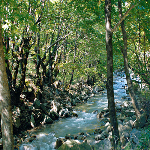 ��������� ��� ���� ��� ��������� 4