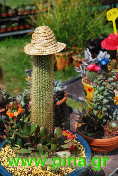 ���������� ������ 2011