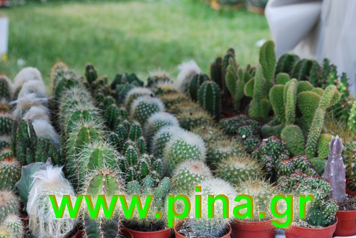 ���������� ������ 2011