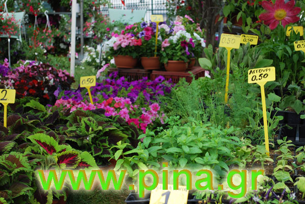 ���������� ������ 2011