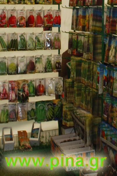 ���������� ������ 2011