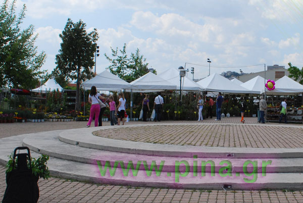 ���������� ������ 2011 ��������