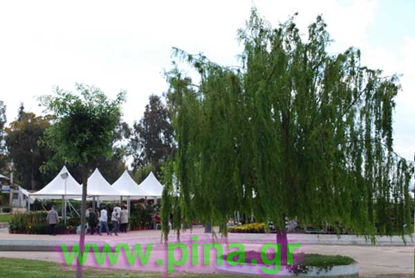 ���������� ������ 2011 ��������