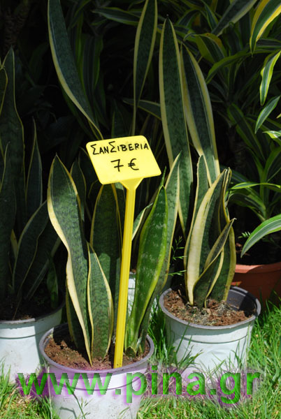 ���������� ������ 2011 ��������