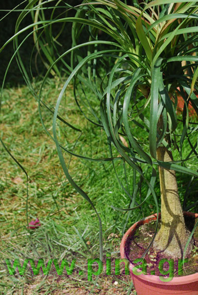 ���������� ������ 2011 ��������